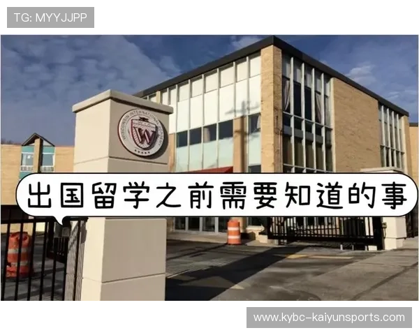 开云体育欧洲杯买法避坑指南 数字高频玩法防骗