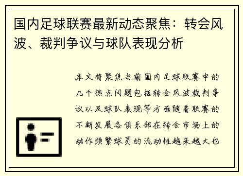 国内足球联赛最新动态聚焦：转会风波、裁判争议与球队表现分析